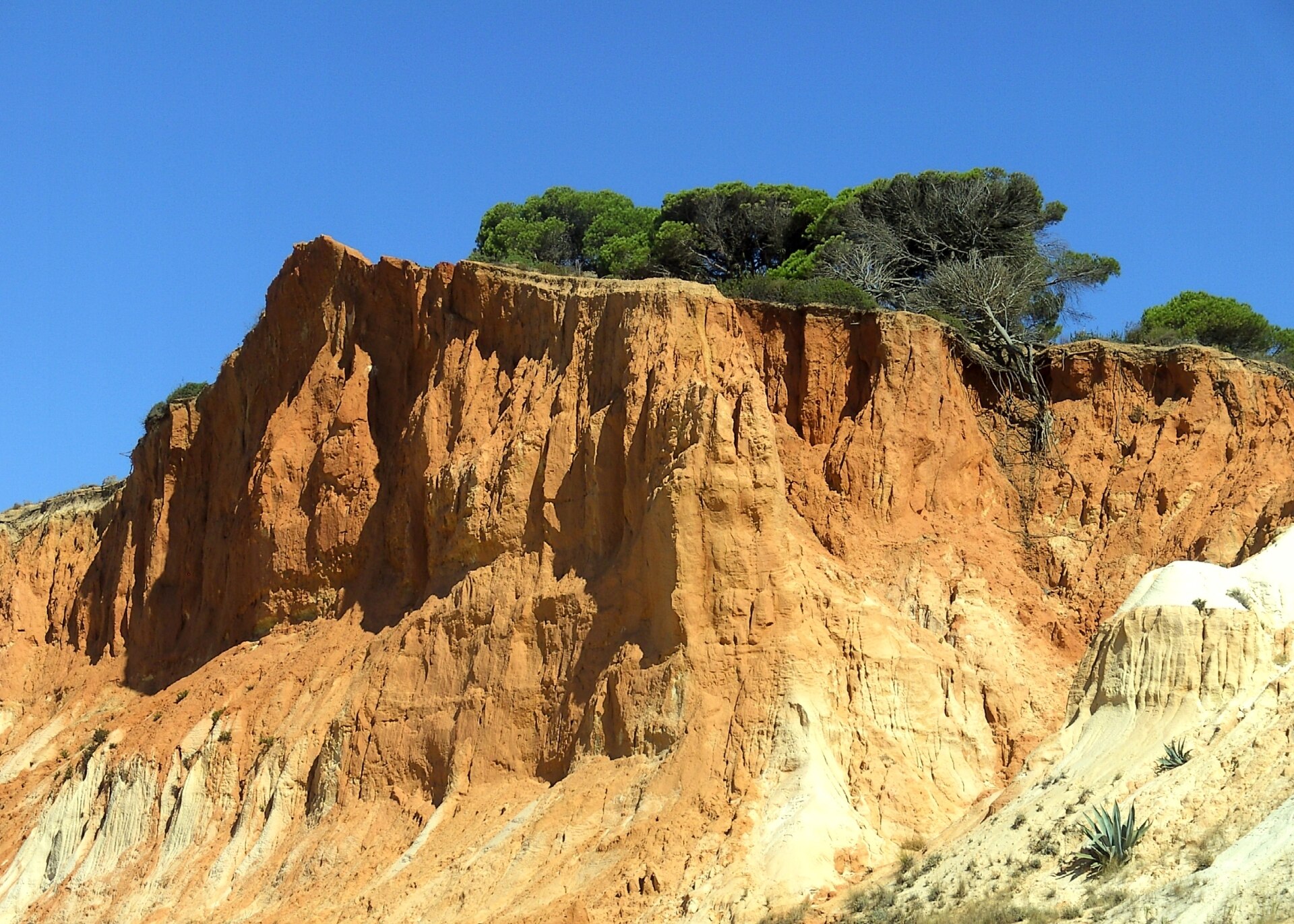 Praia da Falésia och de röda klipporna